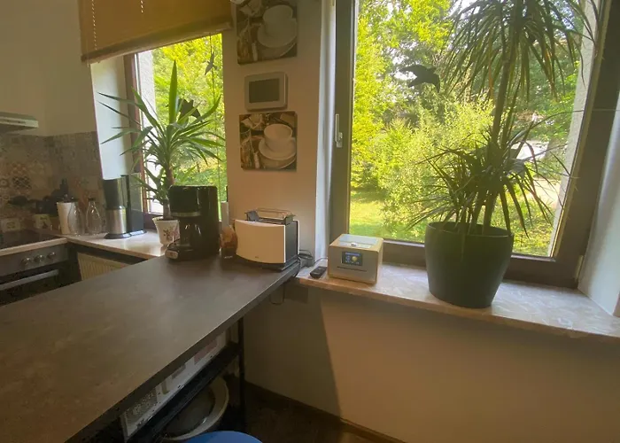 Sonneck * Bad Sachsa